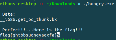 Getting the flag